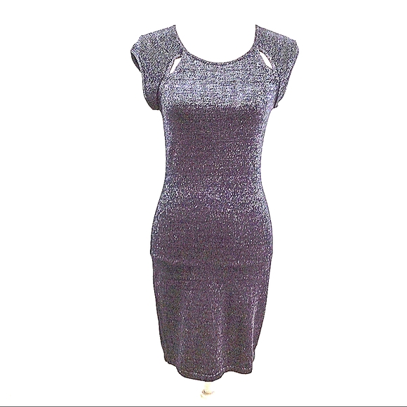 Express Shimmer Knit Bodycon Dress - Picture 1 of 5